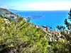 Monaco - Tourism, holidays & weekends guide in the Alpes-Maritimes