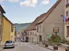 Monestier-de-Clermont - The village