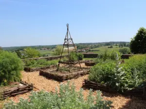 Medieval Garden