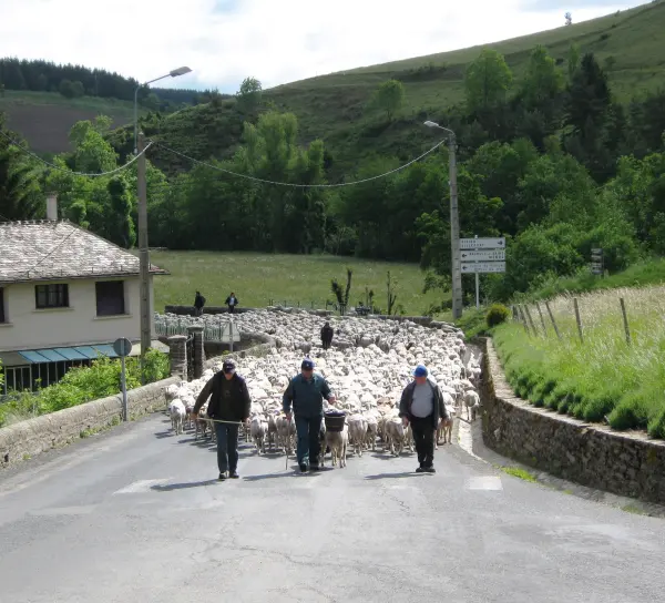 Mont Lozère et Goulet - Guía turismo, vacaciones y fines de semana en Lozère