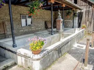 Fontaine-lavoir-trog, overdekt, Bremoncourt (© J.E)