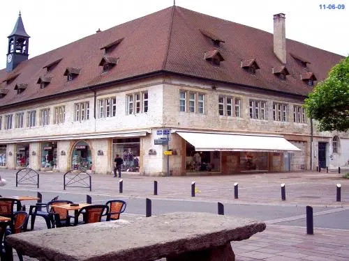 Strutture per il Mercato al Coperto di Montbéliard - Monumento a Montbéliard