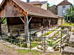 Grande fontaine-lavoir (© J.E)