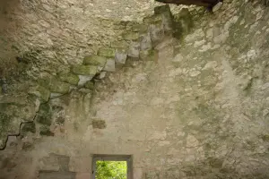 Moulin La tour des fées