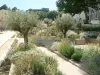 Il giardino dei profumi - Saint Martin