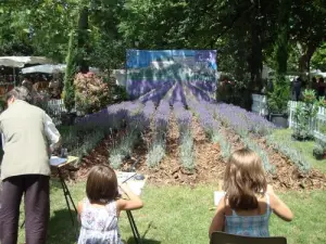 Montélimar Lavender color, the biggest lavender party