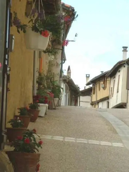 Montestruc-sur-Gers - Führer für Tourismus, Urlaub & Wochenende im Gers