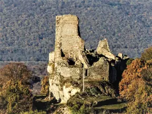 Ruinas del castillo de Montfaucon (© J.E)