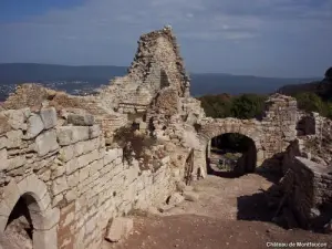 Castillo de Montfaucon