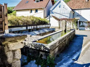 Fontaine-lavoir, rue du Pontot (© J.E)