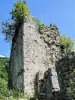 Le donjon, vu de l'entrée (© J.E)