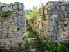 Seuil d'entrée dans la cour du donjon (© J.E)