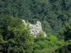 Ruines du château, vues de la route de Vaufrey (© J.E)