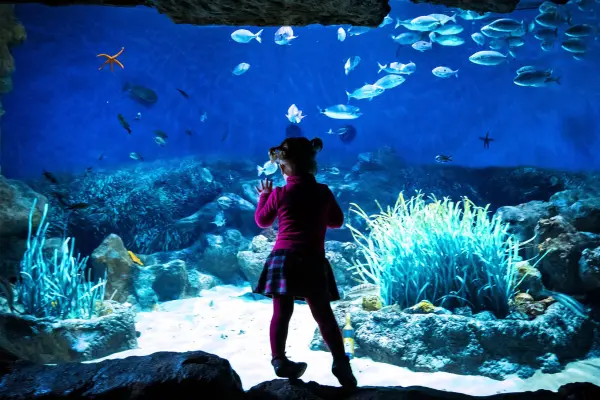 Planet Ocean Montpellier - Lieu de loisirs à Montpellier