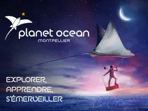 Campagne (© Planet Ocean Montpellier)