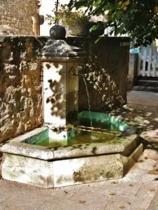 Fountain