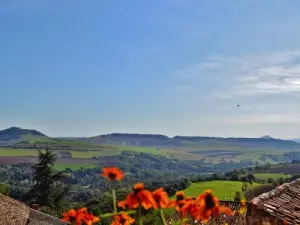 The surroundings of the village