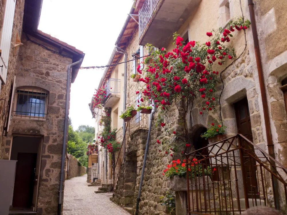 Montpezat-sous-Bauzon - Calade de Montlaur