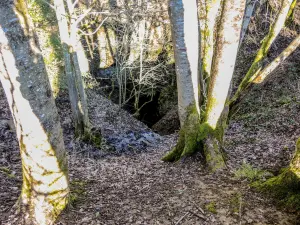 Entrée de la grotte des Cavottes (© J.E)