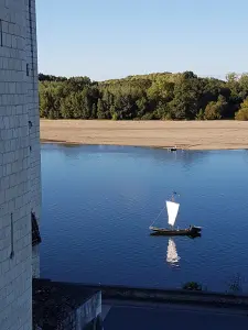 Die Loire bei Montsoreau