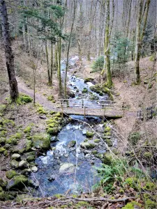 Bach stromabwärts des Wasserfalls Bubalafels (© JE)