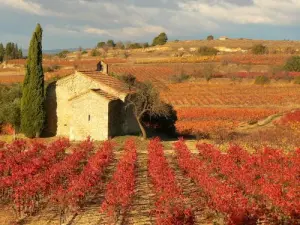 Moussan, Chapel in the vines in November