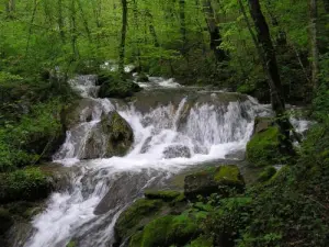 Cascade du Syratu