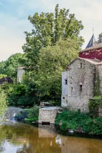 Mill and Bridge