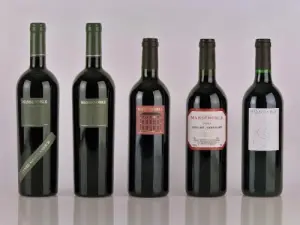 Wines of Corbières