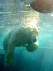 Parque Zoológico y Botánico Mulhouse