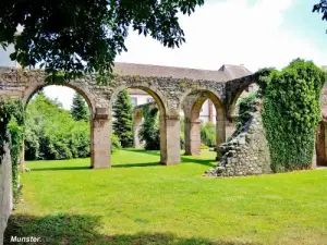 Ruines de l'abbaye (© Jean Espirat)