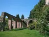 Ruins of Munster abbey (© Robert Bock)