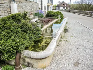 Fontaine-abreuvoir, ancien lavoir (© J.E)
