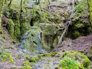 Grotte, source, cascade et tufière de Conche (© J.E)