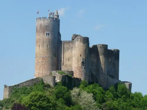 Castello di Najac - Monumento a Najac