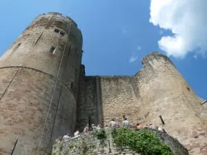 Le grandi e alte torri del castello