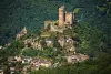 La forteresse de Najac (© D.Viet)