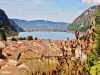 Nantua - Lake city and saw the gazebo (© JE)