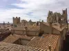 Uitzicht op de kathedraal van Narbonne