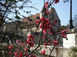 Le château du roi Henri IV vu du parc royal