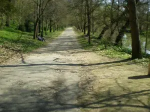 Park Royal de la Garenne: caminar 1,5 kilometros
