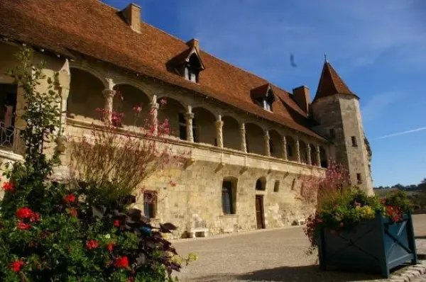 Museo del Castillo Henri IV - Lugar de ocio en Nérac