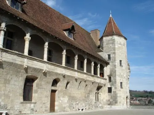 Castillo de Nérac - Monumento en Nérac