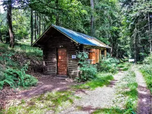 Schuilplaats in het bos van Frankenbourg (© JE)