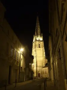 The arrow (XV) of Notre Dame