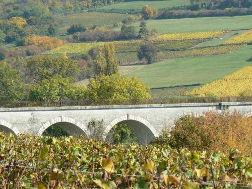 Nolay - Vignes des Hautes Côtes de Beaune