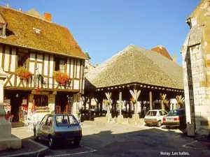 Halles of Nolay (© J.E)