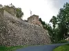 Overblijfselen van het oude kasteel