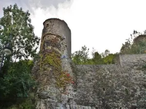 Überreste der alten Burg