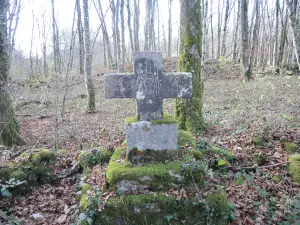 Cross Buggy - The inscriptions on the cross were highlighted in the computer (© Jean Espirat)